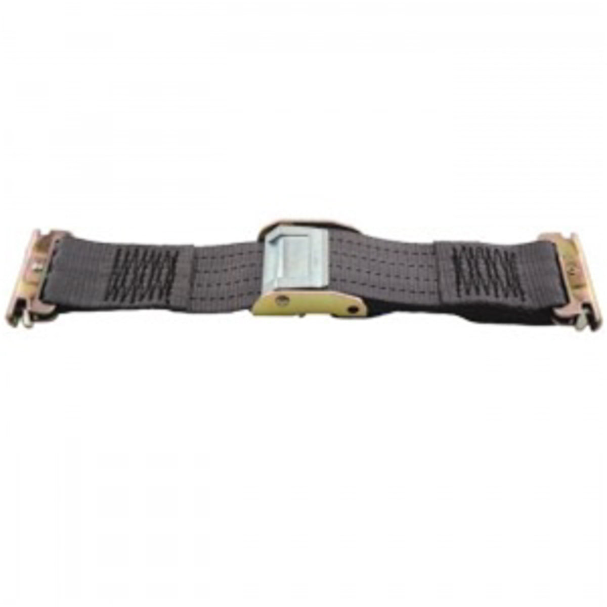 16' Cambuckle Strap